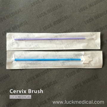 Cervical Brush Sterile Cytobrush Pap Smear
